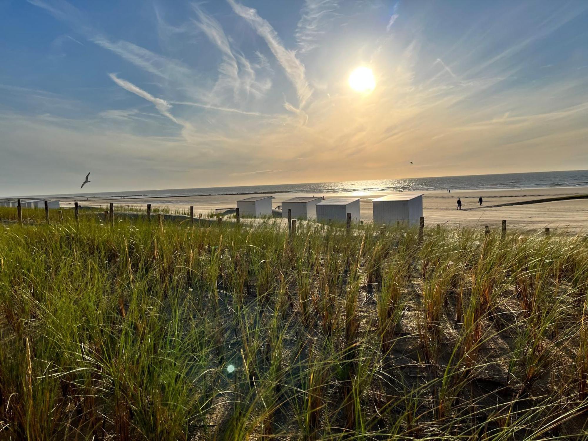 Вилла Beach Bungalow Green Миделкерк Экстерьер фото